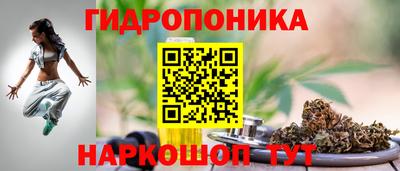 PSILOCYBIN Кулебаки