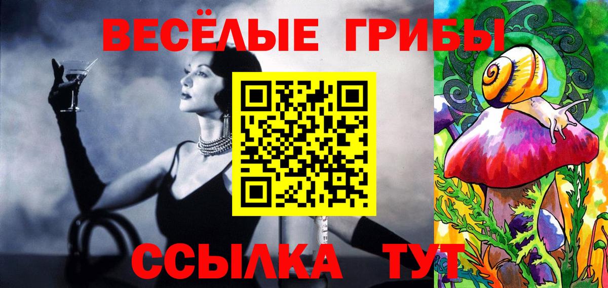 Королёв  Галлюциногенные грибы Psilocybe  Вход с VPN  Псилоцибиновые грибы мухоморы 